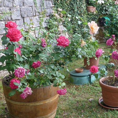 Appartamento Casa Titty Serre Di Rapolano Esterno foto